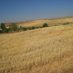 100_8070