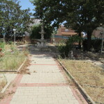 IMG_3791 - copia - copia - copia