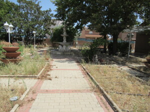 IMG_3791 - copia - copia - copia