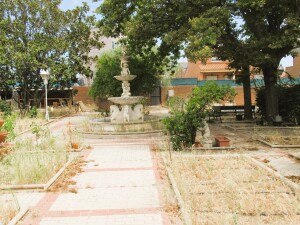 IMG_3796 - copia