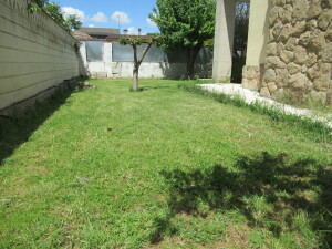 IMG_4182 - copia (2)